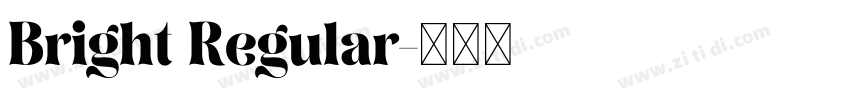 Bright Regular字体转换